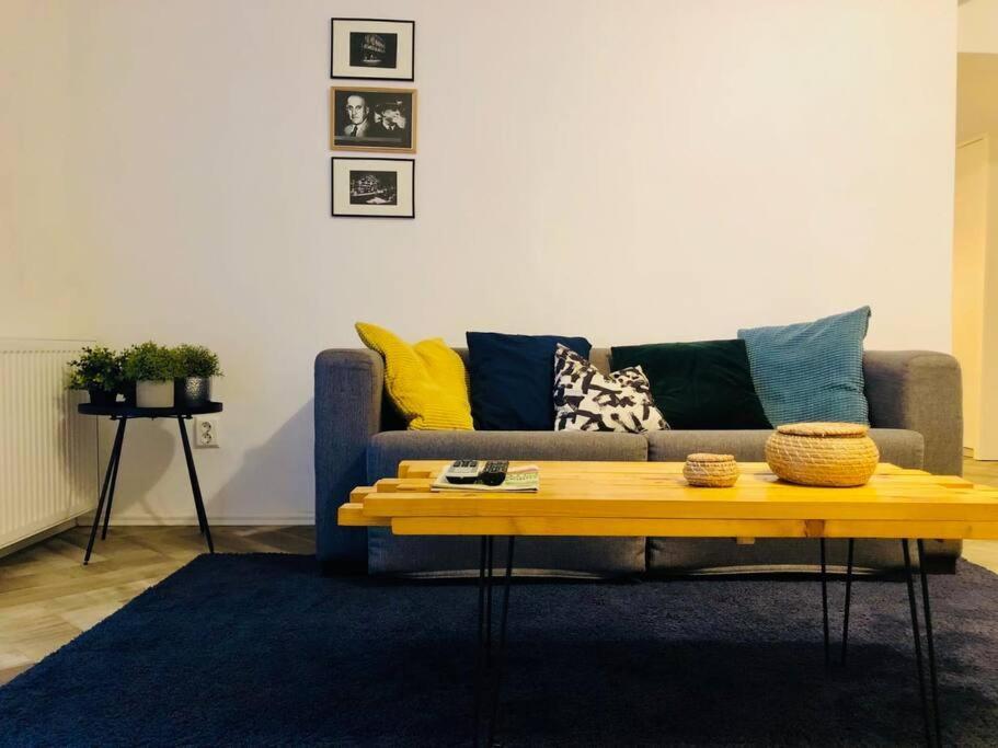 Joy City Stay Libertatii 9Mai 7 Timişoara Extérieur photo